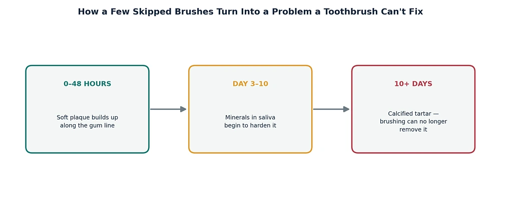 How Soft Plaque Turns Into Something Your Toothbrush Can't Touch