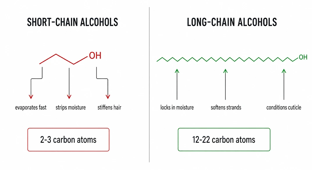 Scientific diagram comparing short-chain drying alcohols with 2-3 carbon atoms in red against long-chain conditioning fatty alcohols with 12-22 carbon atoms in green