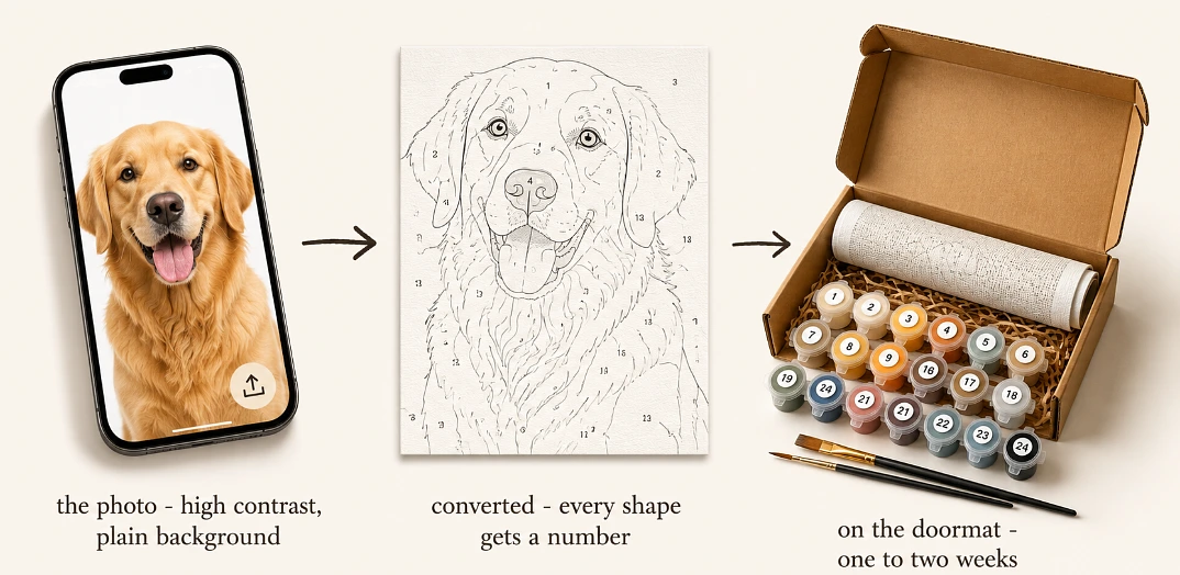 Upload the photo, and it comes back as sections, numbers, and pots - the dog you love, a few evenings at a time