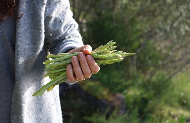 seasonal British ingredients