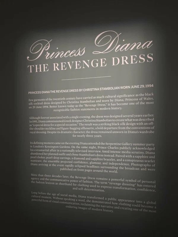 Princess Diana Revenge Dress