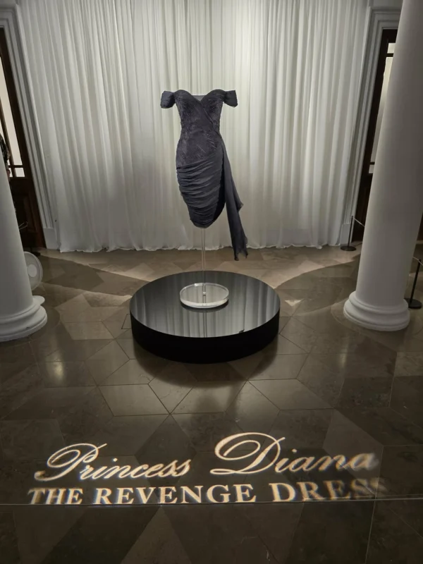 Princess Diana's Revenge Dress