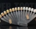 Dental shade guide fanned open on a dark surface with blank price tags hanging from four tabs