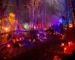 Fox Walmley Halloween party