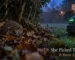 Hedgehog curled in leaves under a hedge at dusk as a robot mower's wheel arrives at the lawn edge